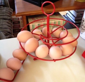 The egg skelter - Like a roller coaster for eggs!